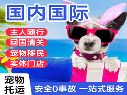 景德镇罗家航空快运国际宠物托运 【国